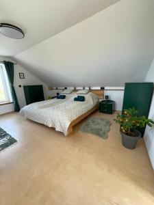 a bedroom with a large bed in a attic at Cseligevi Vendégház in Szekszárd +20 photos