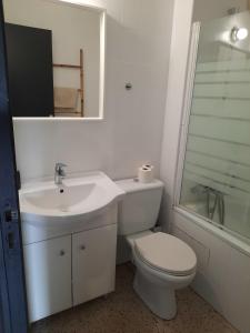 a bathroom with a toilet and a sink and a shower at Studio dans résidence avec piscine in Bidart