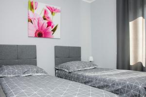 two beds sitting next to each other in a bedroom at Apartamenty Suchacz in Suchacz