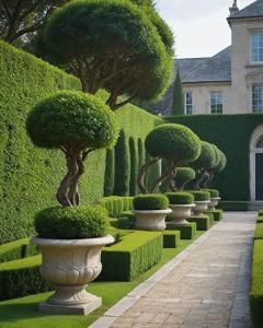 a row of trees and bushes in a garden at Coco Villa Payagala in Paiyagala South