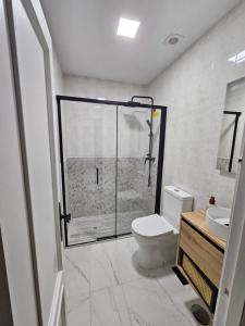 a bathroom with a shower with a toilet and a sink at Casa Gelín Verde in Santillana del Mar
