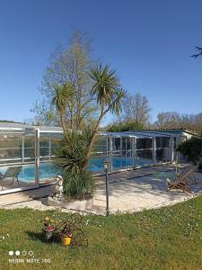 a large glass house with a swimming pool at Gîte La Pequelette in Saint-Ambroix