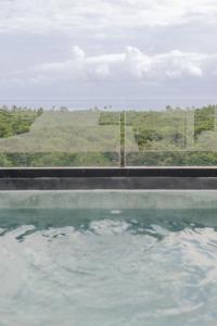 ein Wasserbecken mit Blick auf ein Feld in der Unterkunft Emma Apartments - Akumal-Grand Sirenis in Akumal