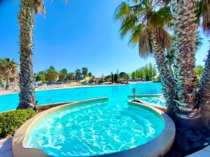 a swimming pool with palm trees in a resort at MA105 Le Mazet in Vias
