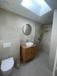 a bathroom with a toilet and a sink and a mirror at Holiday Home Beo in Oostkapelle +25 photos