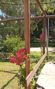 a wooden post with flowers in a garden at Calma Home in San Luis