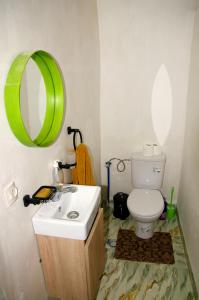 a bathroom with a toilet and a green mirror at Chez youba in Azilal
