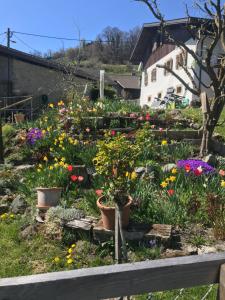 a garden of flowers in front of a house at Le Petit Ruisseau in Ollon
