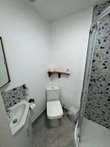 a bathroom with a toilet and a sink and a shower at Bota Bungalow, Kidlington,Oxford in Kidlington