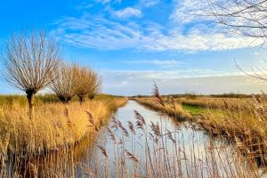 a river in the middle of a field with tall grass at Oan 'e Haven in Oudega