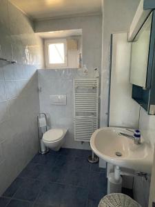 a small bathroom with a toilet and a sink at Clos Belin in Chavornay +17 photos