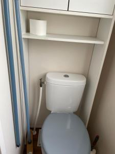 a white toilet in a bathroom with shelves at Lux in Saint-Pierre-dʼOléron +5 photos