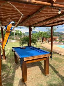 a bird sitting on a hammock next to a pool table at Chácara Por do Sol in Pouso Alegre