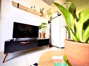 a living room with a tv and a plant at Loft Confortável e Tranquilo - Fernandópolis in Fernandópolis