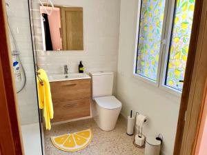 a bathroom with a sink and a toilet and a mirror at Studio La Provençale in Avignon +35 photos