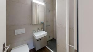 a bathroom with a sink and a mirror at Apartmenthouse Viktoria in Bern in Bern +47 photos