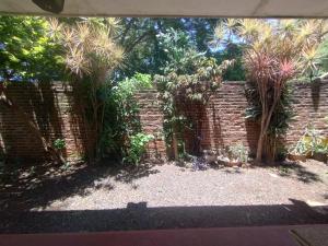 a brick wall with trees and plants in a yard at Casa Garú in Paso de los Libres
