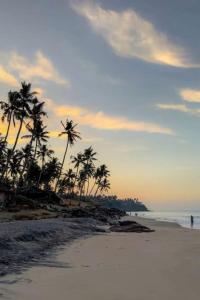 a group of palm trees on a sandy beach at Mud apples in Varkala +46 photos