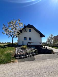 a white house with a tree in front of it at APARTMA ENI in Moravske-Toplice