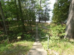 a path through the woods with trees and grass at Cranberry Cottage on Torch Lake in Alden