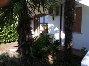 two palm trees in front of a house at Hotel Berna in Eraclea Mare