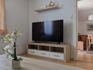 a living room with a flat screen tv on a wooden entertainment center at Ferienwohnung Piontek in Ebensee