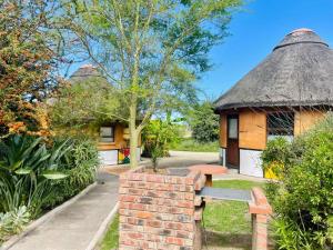 a house with a thatched roof with a bench in front at African Sun Guest House in Molen Drift