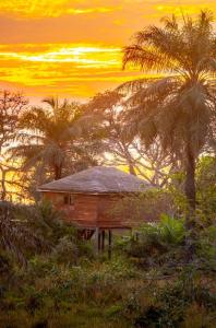 a small building in a field with palm trees at Mansa Musso Lodge in Sanyang