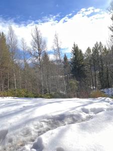 a snow covered field with trees in the background at Fjellhytte Rauland in Austbø +4 photos