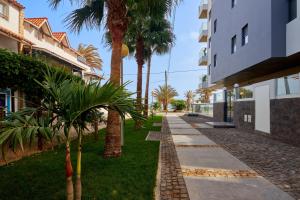 a sidewalk with palm trees next to a building at Edificio Lux's - Apartamentos Tubarão in Santa Maria