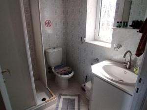 a small bathroom with a toilet and a sink at Panorama Rooms in Kyllini
