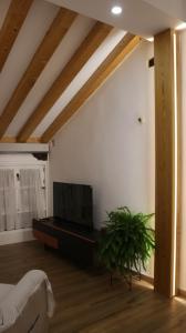 a living room with a flat screen tv and a plant at Almagro Plaza Apartamento in Almagro