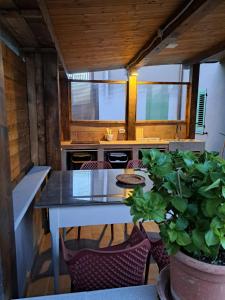 a dining room with a table and a potted plant at Casa Il Ghiro in Monterone