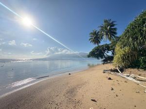 a beach with a palm tree and the ocean at Tahiti Sunrise Beach in Vaitoare