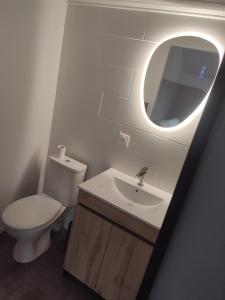 a bathroom with a toilet and a sink and a mirror at Le 13 au vert in Montigny-les-Monts