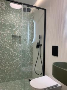 a bathroom with a shower and a toilet and a sink at Sol 41 in Bragança +19 photos