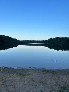 a large body of water with trees in the background at Ranczo in Smołdzięcino