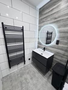 a bathroom with a sink and a mirror at Teplice Apartments 1 in Teplice