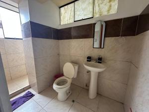 a bathroom with a toilet and a sink at Domi ApartHotel , first floor and duplex in Cusco +2 photos