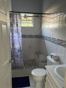 a bathroom with a toilet and a sink at Serene Escape in Bellevue