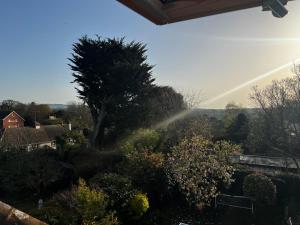 a garden with a rainbow in the background at Otter's Reach in Budleigh Salterton