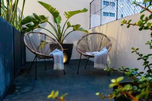 two chairs sitting on a patio with a plant at Espaço Calheta in Ponta Delgada