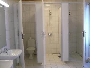 a bathroom with a toilet and a shower and a sink at HI Borlaug Vandrerhjem in Borgund