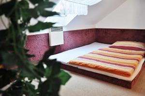 a small bed in a room with a purple wall at Pension Habermannova Vila in Bludov +45 photos