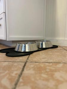 two metal food bowls sitting on a kitchen floor at State St Parlor Walk Downtown Newly Designed in Portsmouth