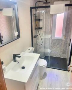 a bathroom with a shower and a sink and a toilet at Carbonería 4 in Soria