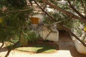 Gallery image of Orange Tree Villa in Vilamoura