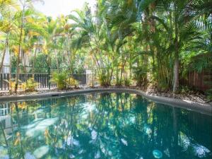 a swimming pool with palm trees and a fence at Tropic Sands Coastal Escape in Port Douglas
