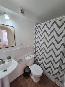 a bathroom with a white toilet and a sink at Céntrico y cómodo departamento in Los Andes +8 photos