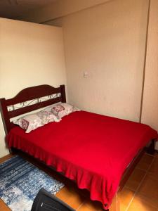 a bedroom with a red bed with a red blanket at Pousada Popular in Três Marias